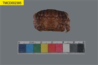 藏品(絨毛仿銀杏蟹)的圖片